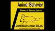 Animal Behavior