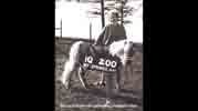 Marian Breland with performing miniature horse